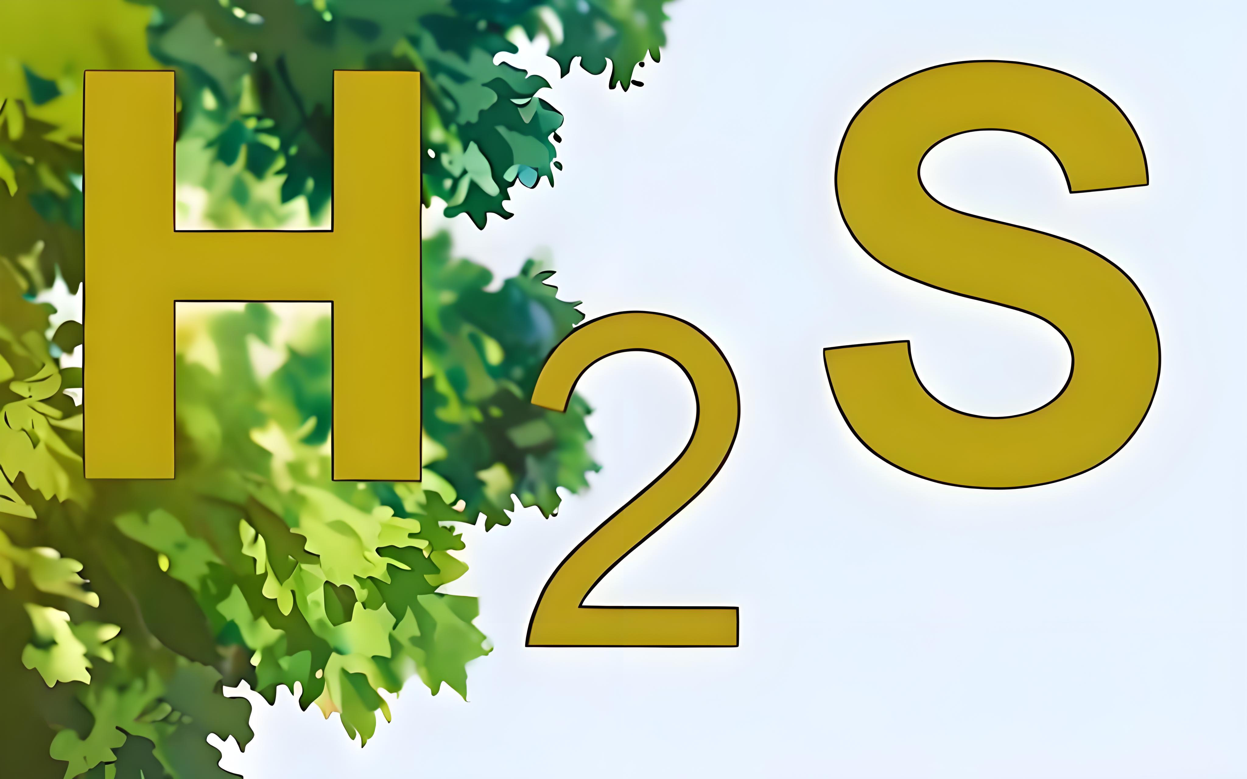 氣體檢測(cè)儀氫氣報(bào)警閾值和硫化氫的有什么區(qū)別？